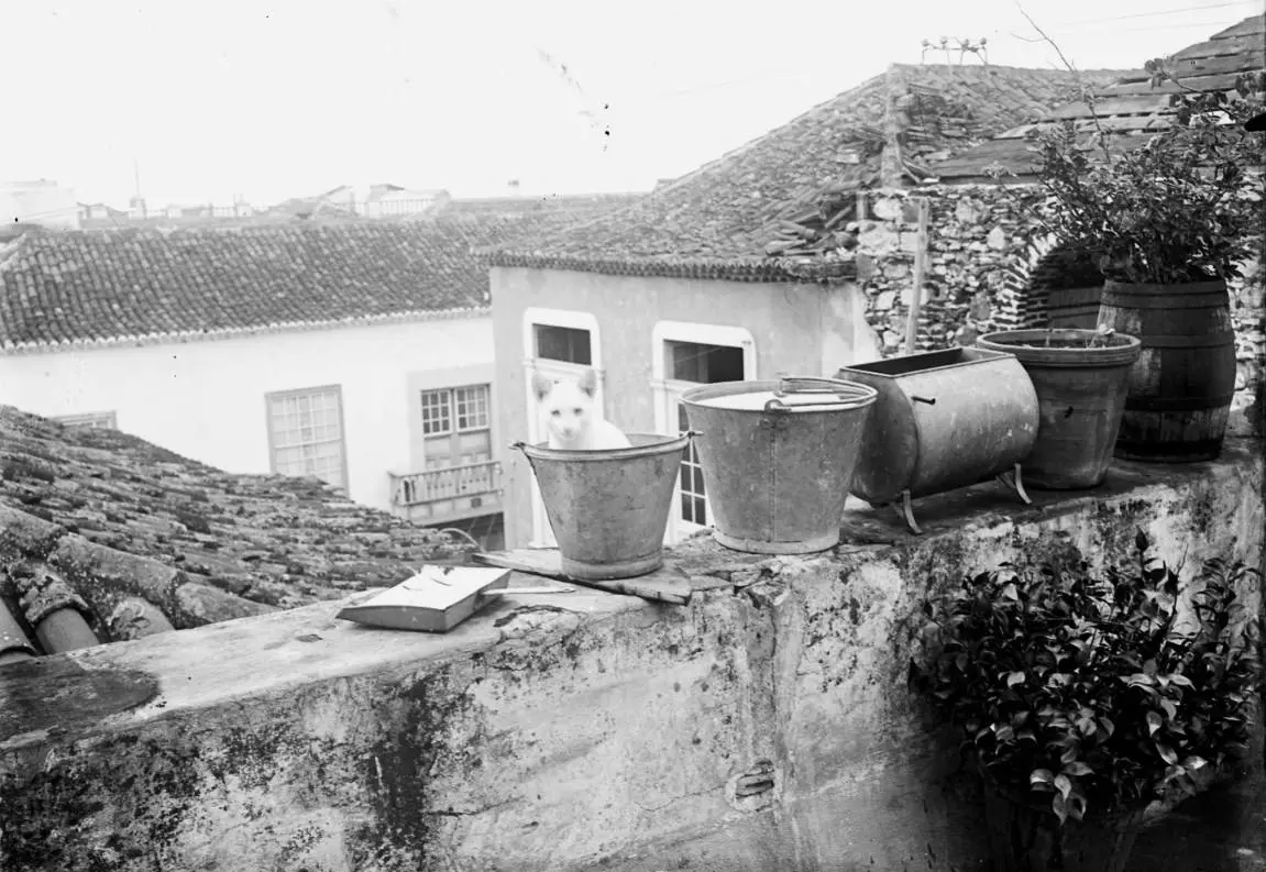 Azotea de Miguel Brito en Díaz Pimienta.